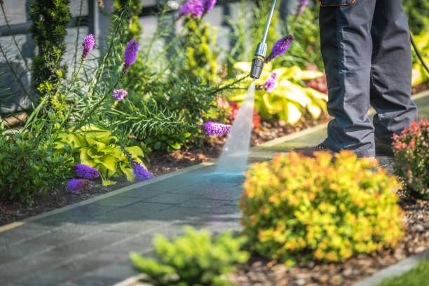 Best Sidewalk and Walkway Cleaning  in New Holland, PA